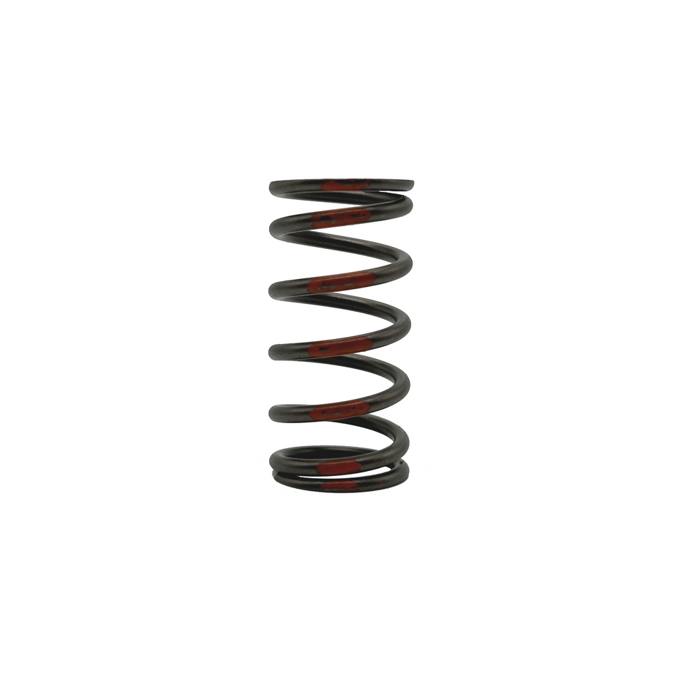 Stock Valve Springs
