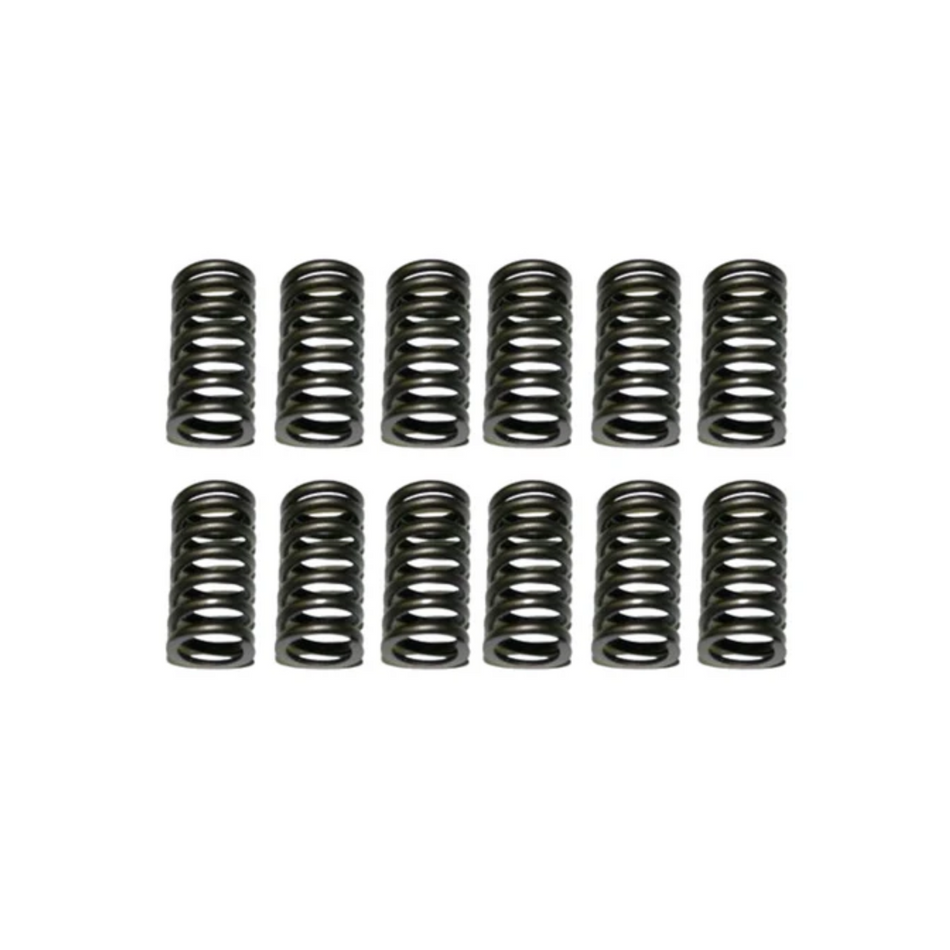 Valve Springs