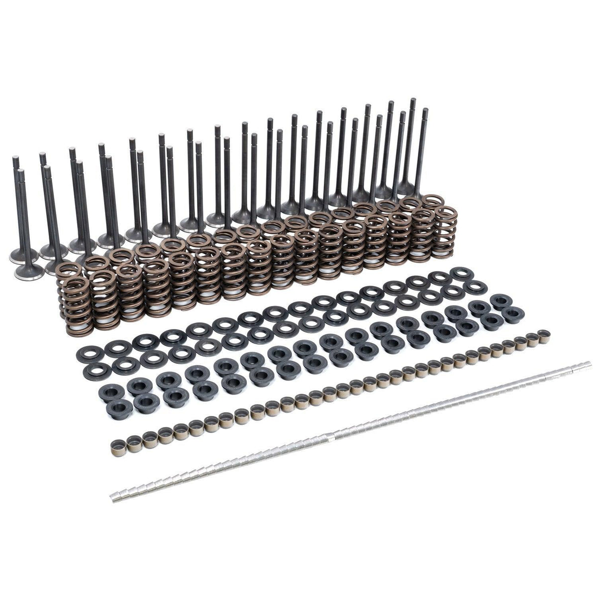 2001-2016 Duramax Valve & Spring Kit (110090080) - Pacific Performance Engineering