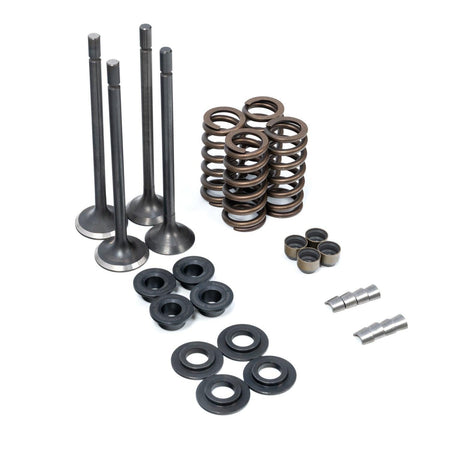 2001-2016 Duramax Valve & Spring Kit (110090080) - Pacific Performance Engineering