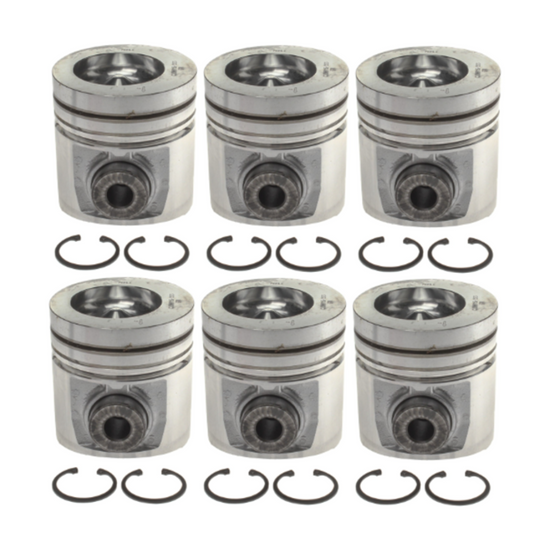 1991-1993 Cummins 5.9L Mahle Set of 6 Pistons w/ Rings - Standard (224-3523WR)