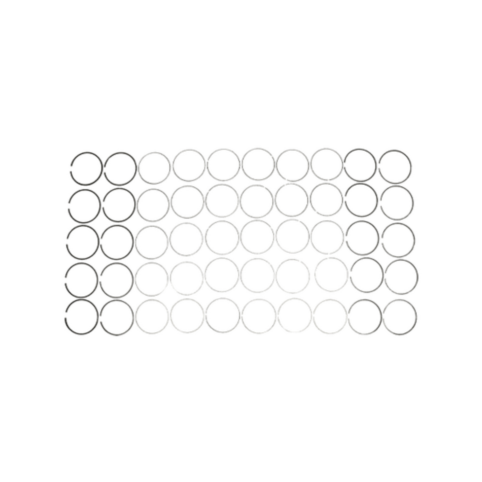 2011-2015 Powerstroke 6.7L Mahle Pistons Rings (42168)