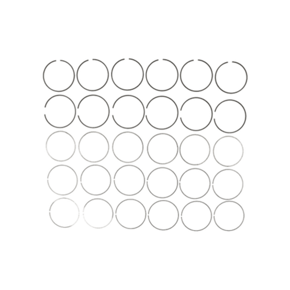 2008-2010 Powerstroke 6.4L Mahle Pistons Rings (42097)