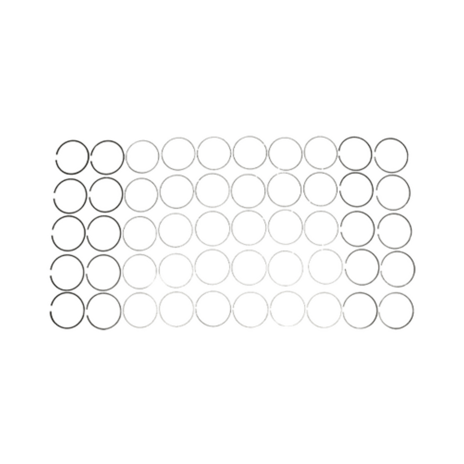 2008-2010 Powerstroke 6.4L Mahle Pistons Rings (42246)