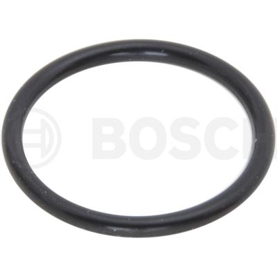 2004.5-2010 Duramax 6.6L Single Injector O-Ring (F 00E 200 099)